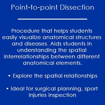 Anatomage Point-to-point Dissection